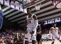 波什三分绝杀开拓者